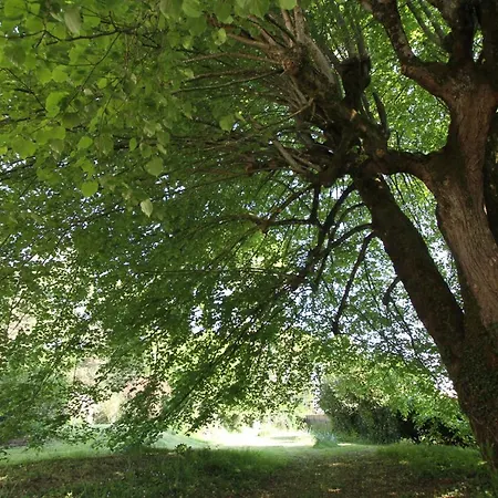 La Chataigniere De Beau Tatil Evi